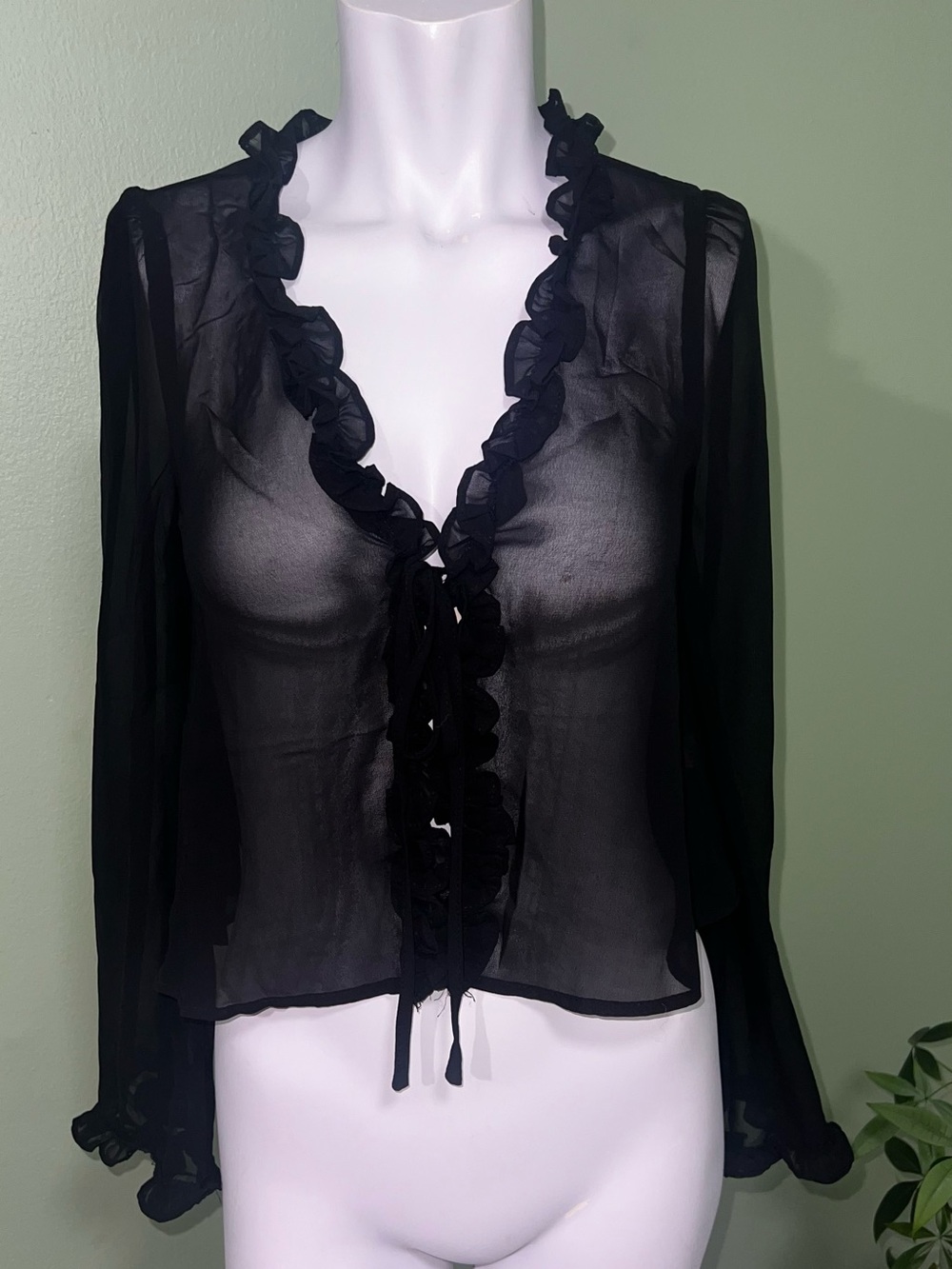 Nasty Gal Black Sheer Ruffle Tie-Front Blouse